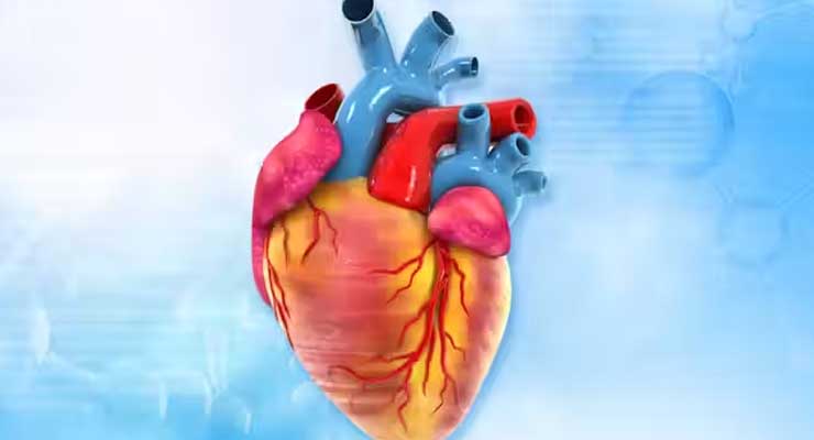 Straight from the Local Market: 7 Everyday Foods That Boost Heart Health